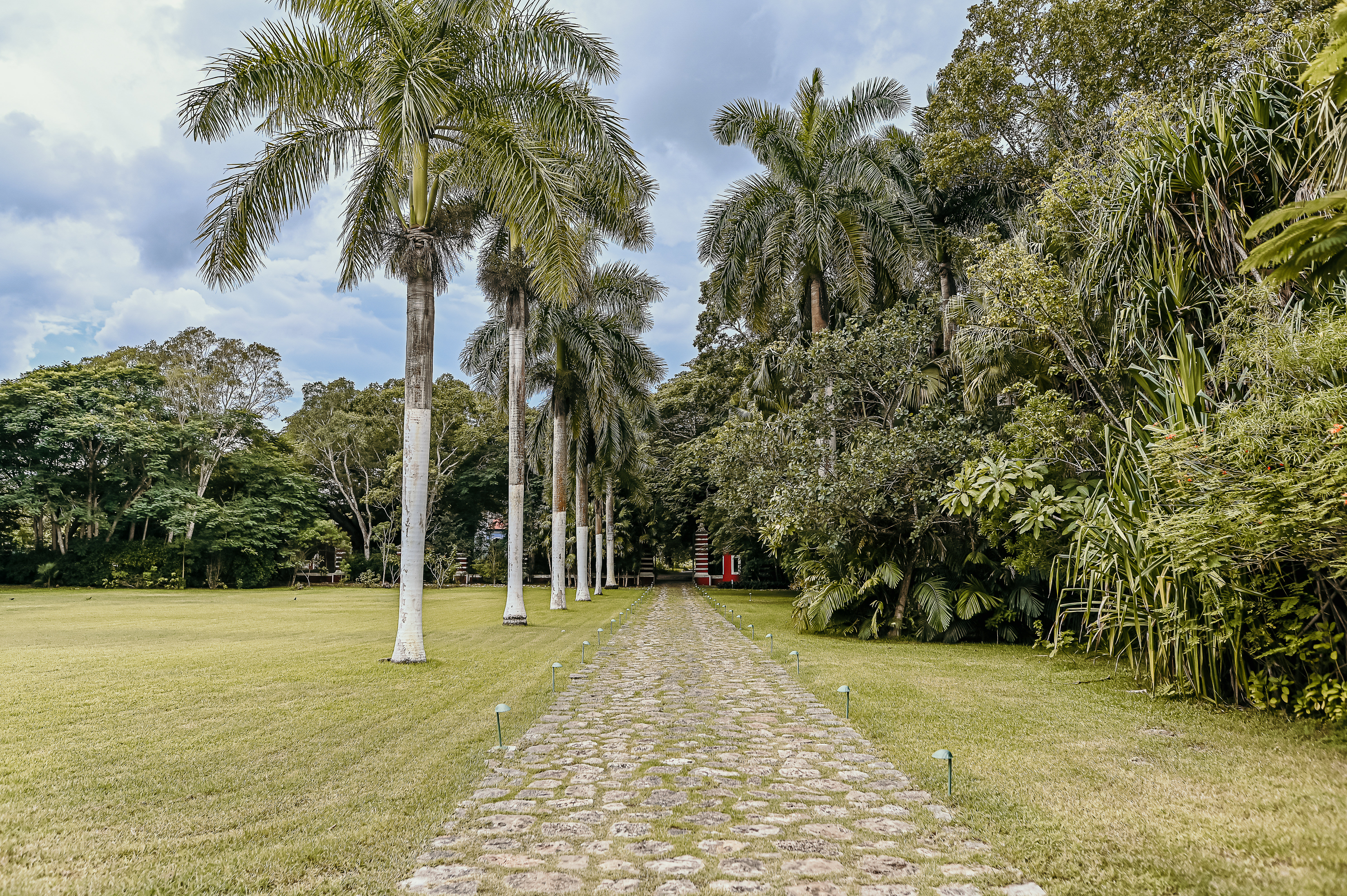Intimate-Wedding-Elizabeth-Ryan-Hacienda-Santa-Rosa-1