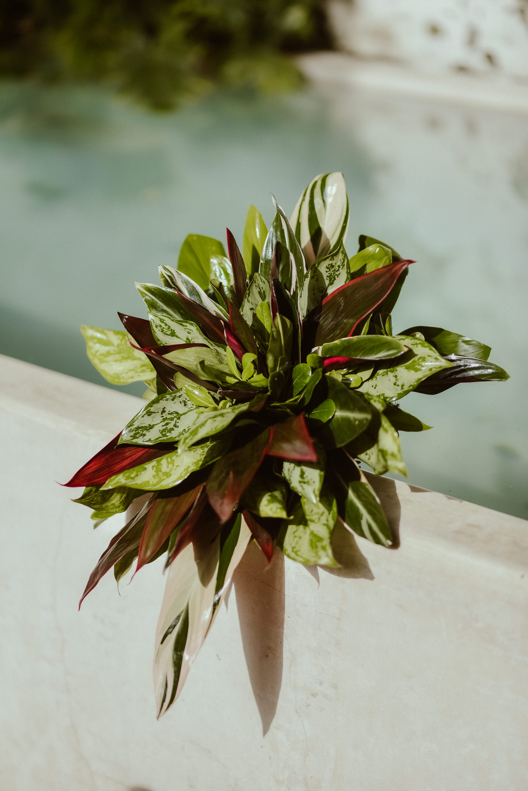 Gabo Preciado Fotografia