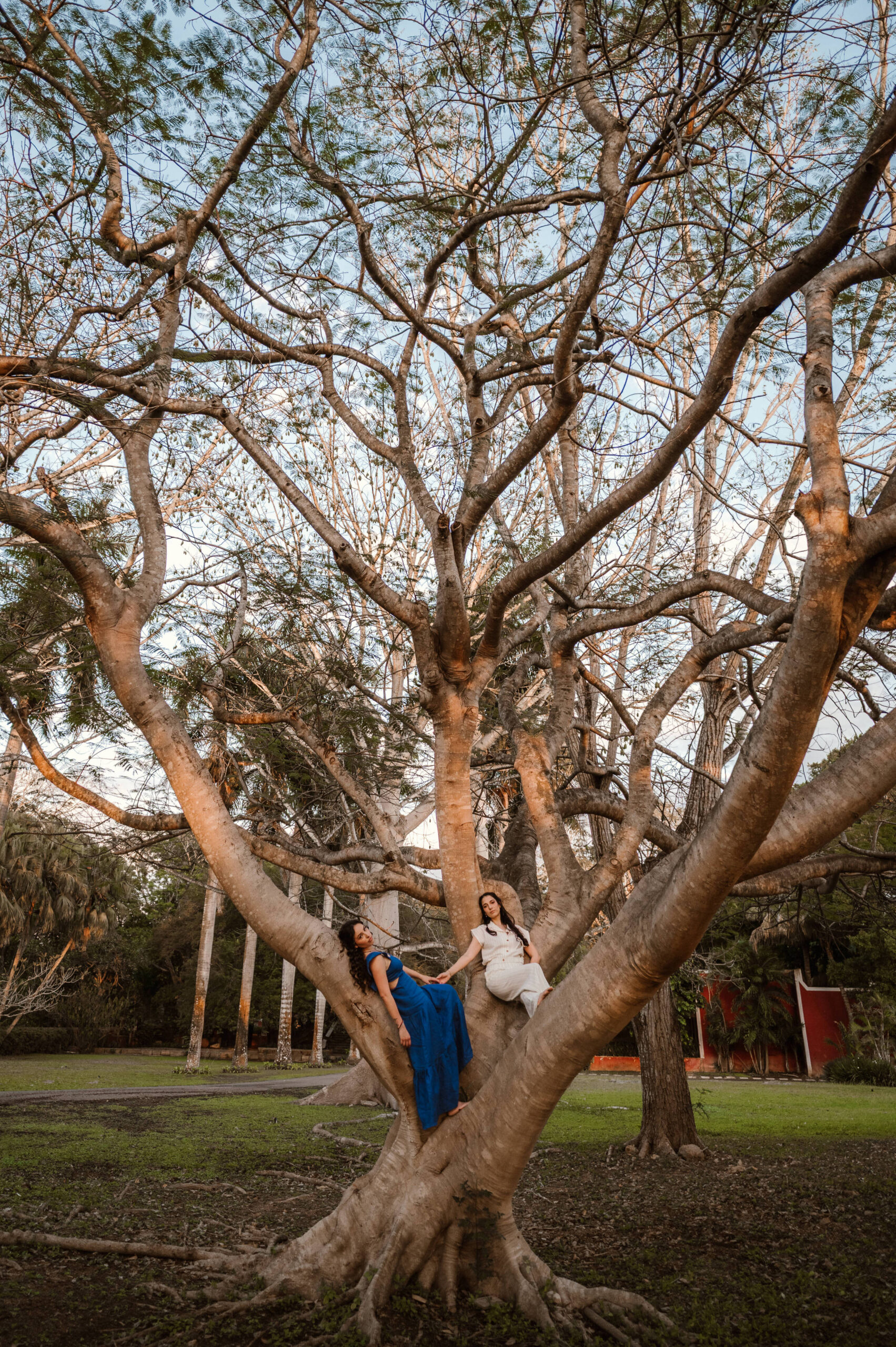 Gabo Preciado Fotografia